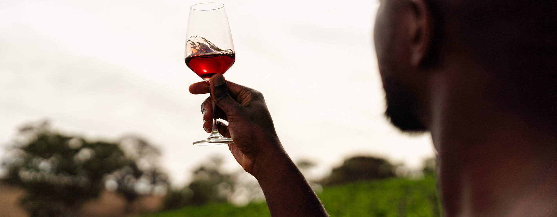 Man staring out to vineyards holding a glass of red wine